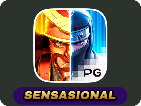 Ninja vs Samurai